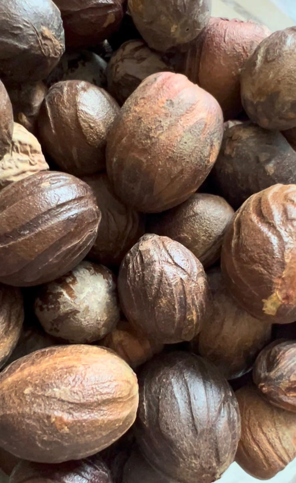 Indonesian Nutmeg / Pala
