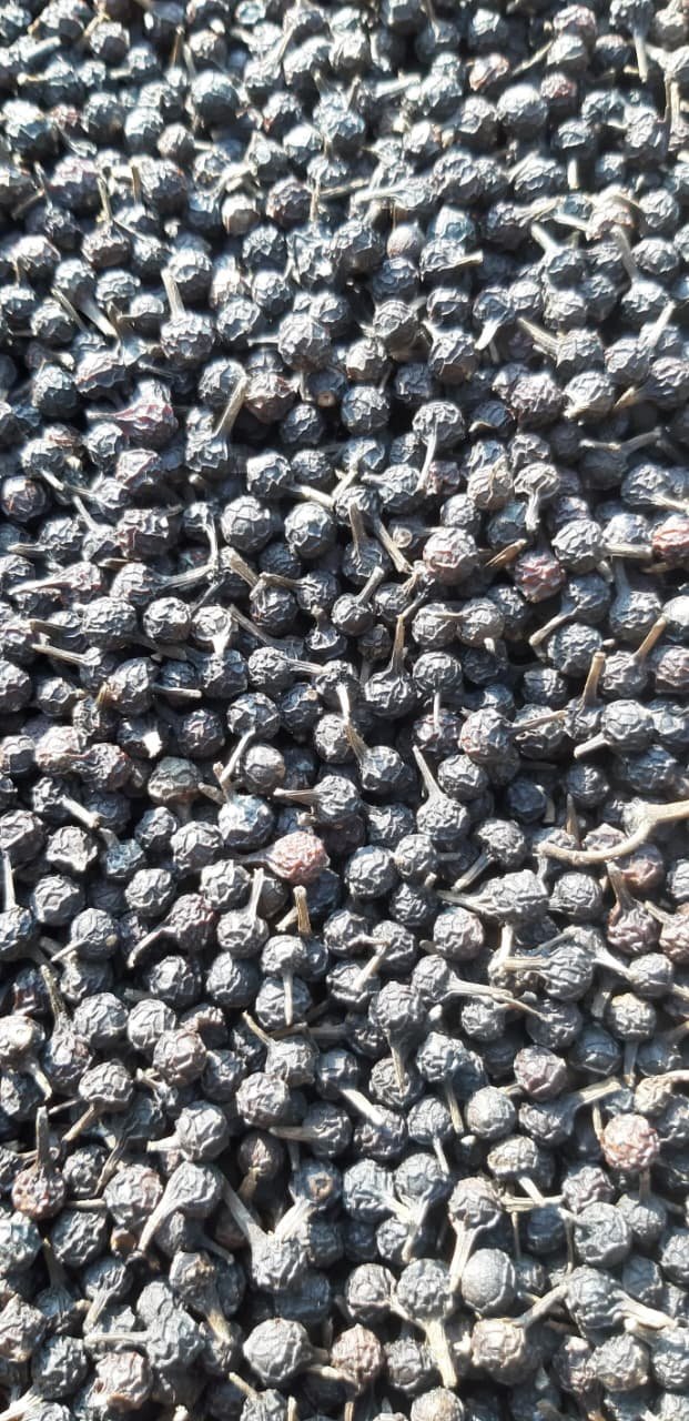 Indonesian Black Pepper / Lada Hitam