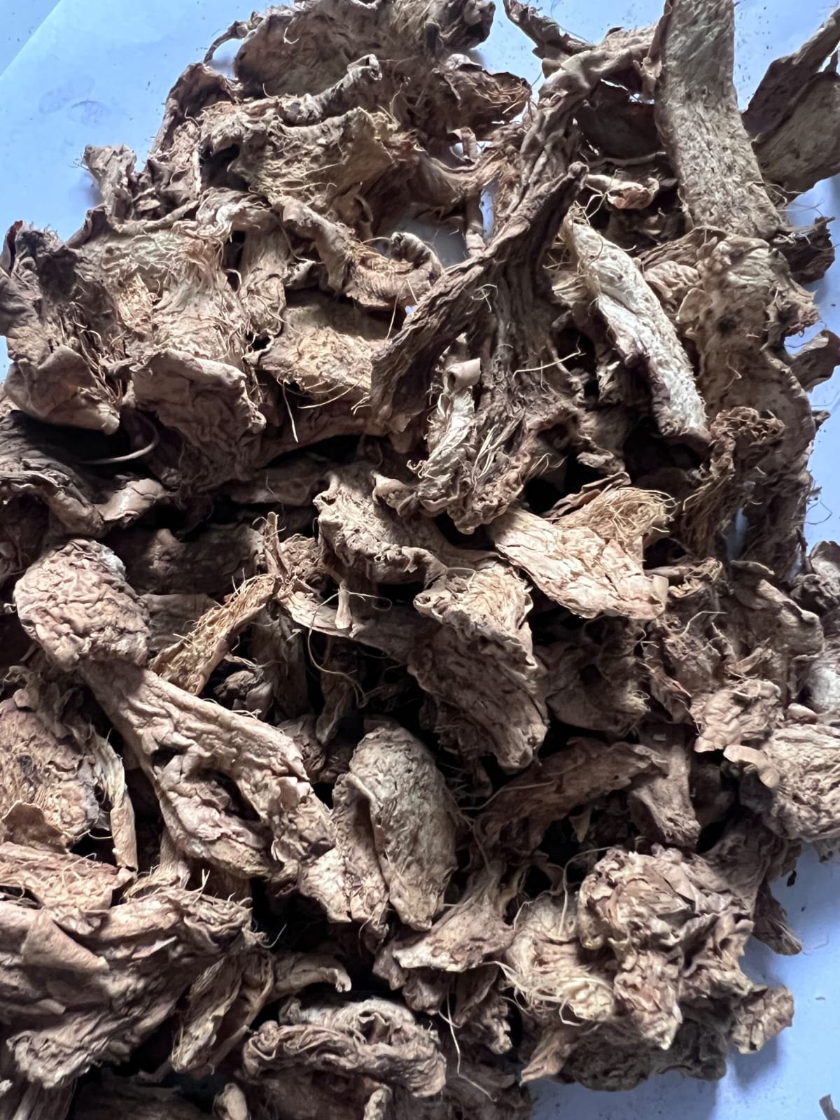 Dried Paris Ginger / Jahe Paris