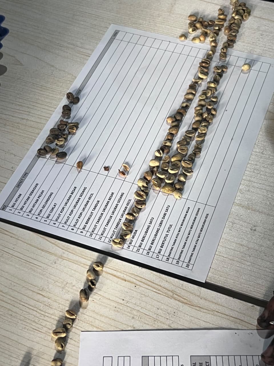 PT Goshen Spice Sorting & Moisture Control